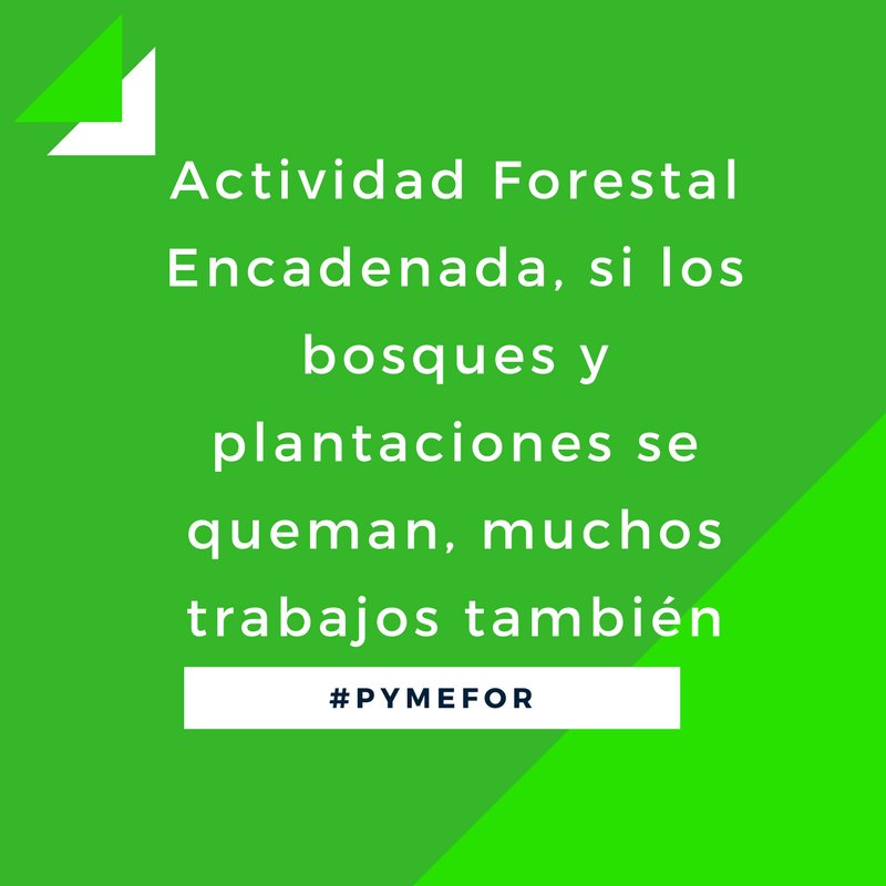 ¿Prevenir los incendios no solo es obra de los organismos forestales? La responsabilidad también está en tus manos, ¡cuidemos nuestros bosques! #NoMásIncendios