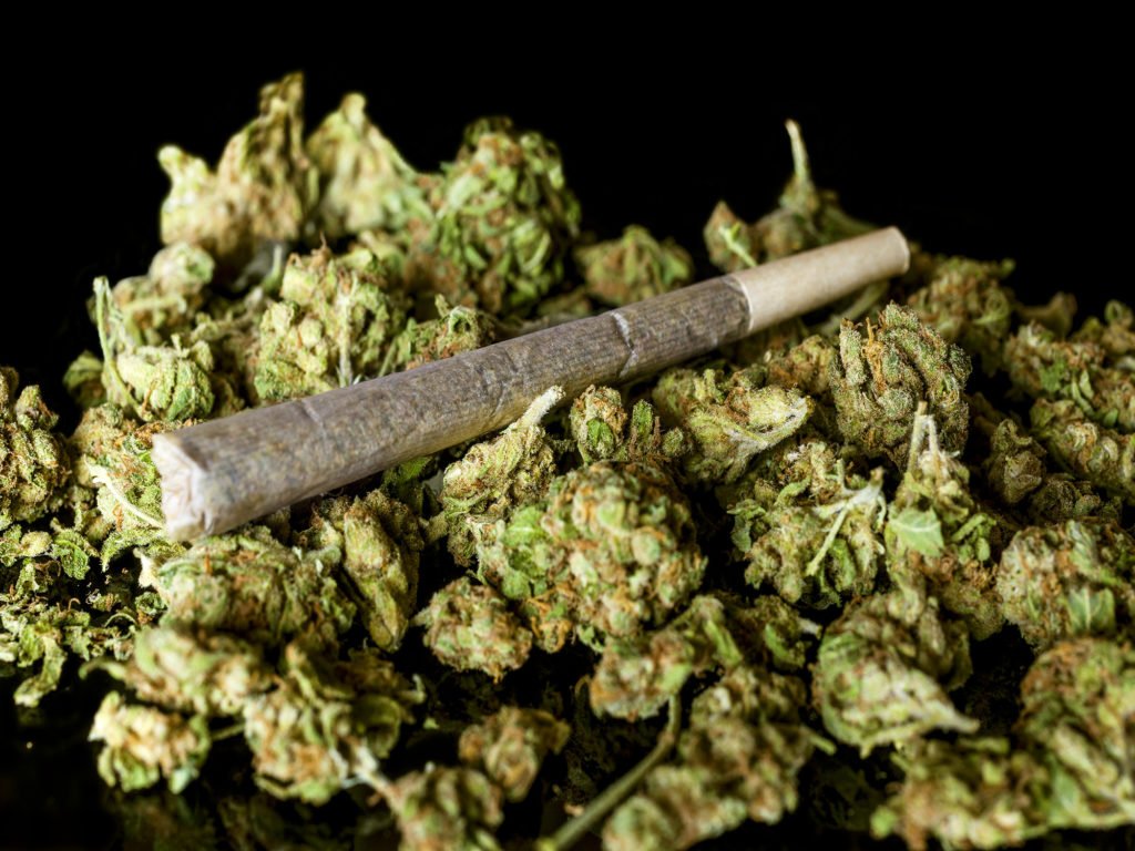 SteppingHighFes's tweet photo. Relax, it's just a plant. ;)
#SteppingHighFestival2018 #TakingYouHigher #ElevatingMinds #UniversallLove #Ganjafest #Negril #Jamaica #Caribbean #Onelove #ganja #ganjagram #weed #marijuana #kush #music #cannabis #rastafari #reggae https://t.co/prkpiIchju