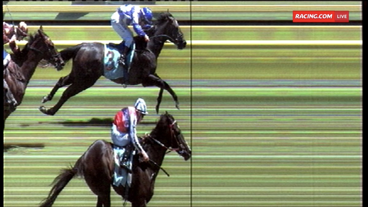 puntersfirst tweet picture