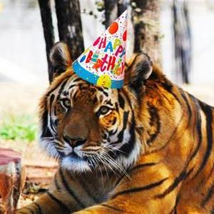 A proud foundation club turns 110 years old today. Thank you to all of the players, coaches, volunteers &amp; most importantly supporters who have stuck with the club for more than a century. Today we celebrate everyone with #blackngold running through their veins #110Years