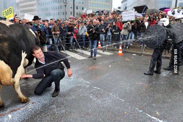 SoyFarfadox's tweet image. 