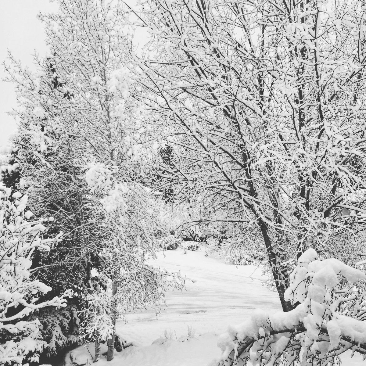 raftvail's tweet image. After the weekend storm in #Vail, some of our favorite #jeep trails are now covered in deep #snow, but the breathtaking views remain!