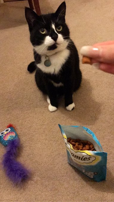 Watch 𝐊𝐞𝐥𝐥𝐲𝐛𝐬𝐰𝐨𝐫𝐥𝐝😻's leaked NSFW photo on TwXstars