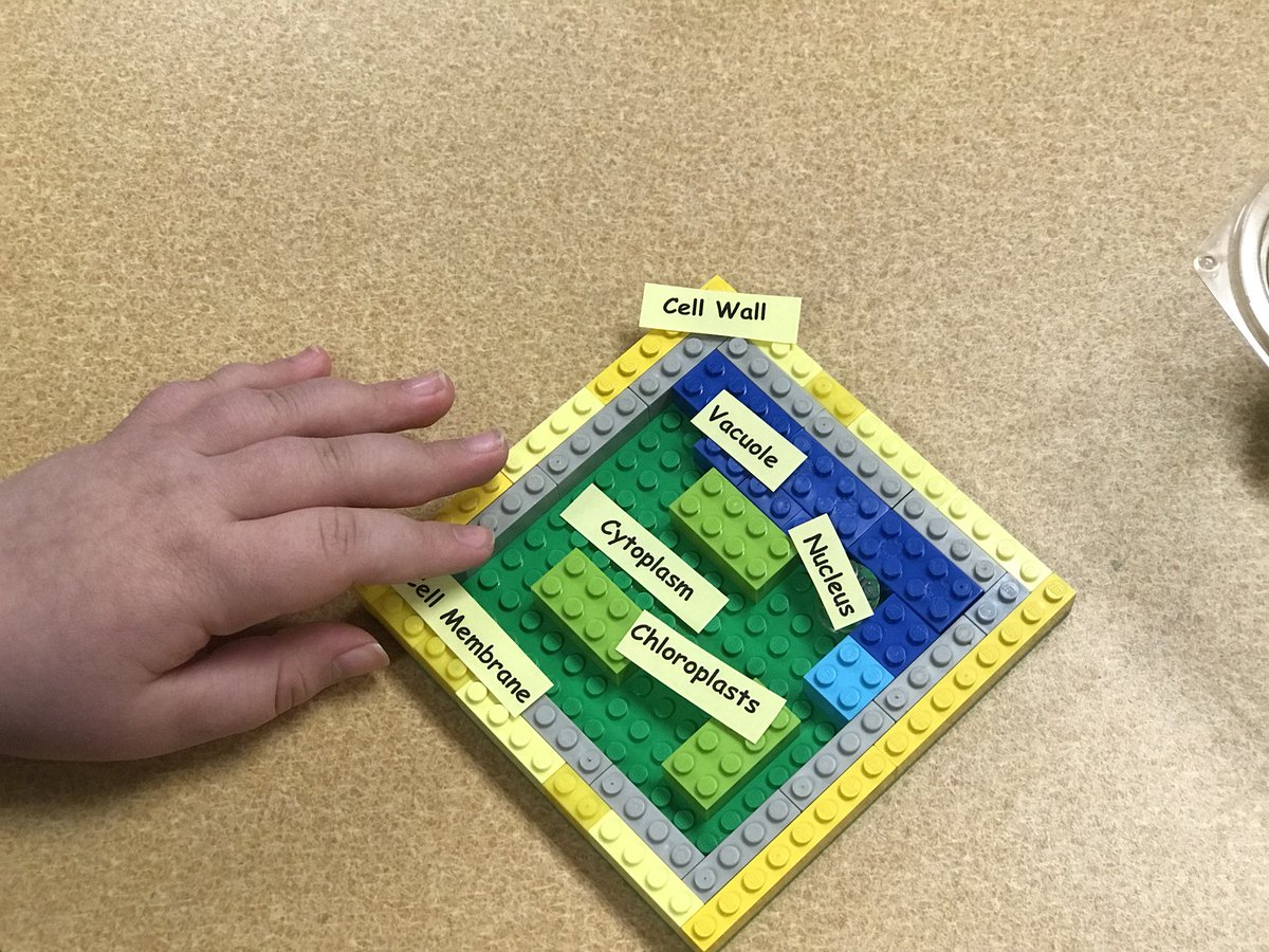 laura_prymak's tweet photo. Fifth grade #WPESwolves working on models of Plant cells using @LEGO_Group! #WPESTEAM #oneCCPS https://t.co/4Um9hdYE3J