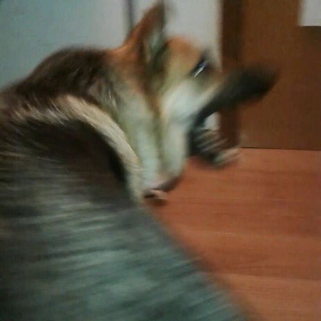 pcppyfields's tweet image. Me: I’m gonna listen to Coldplay again. It’s been a while and the shock from the tour has settled down

Chris Martin: lo-

Me: