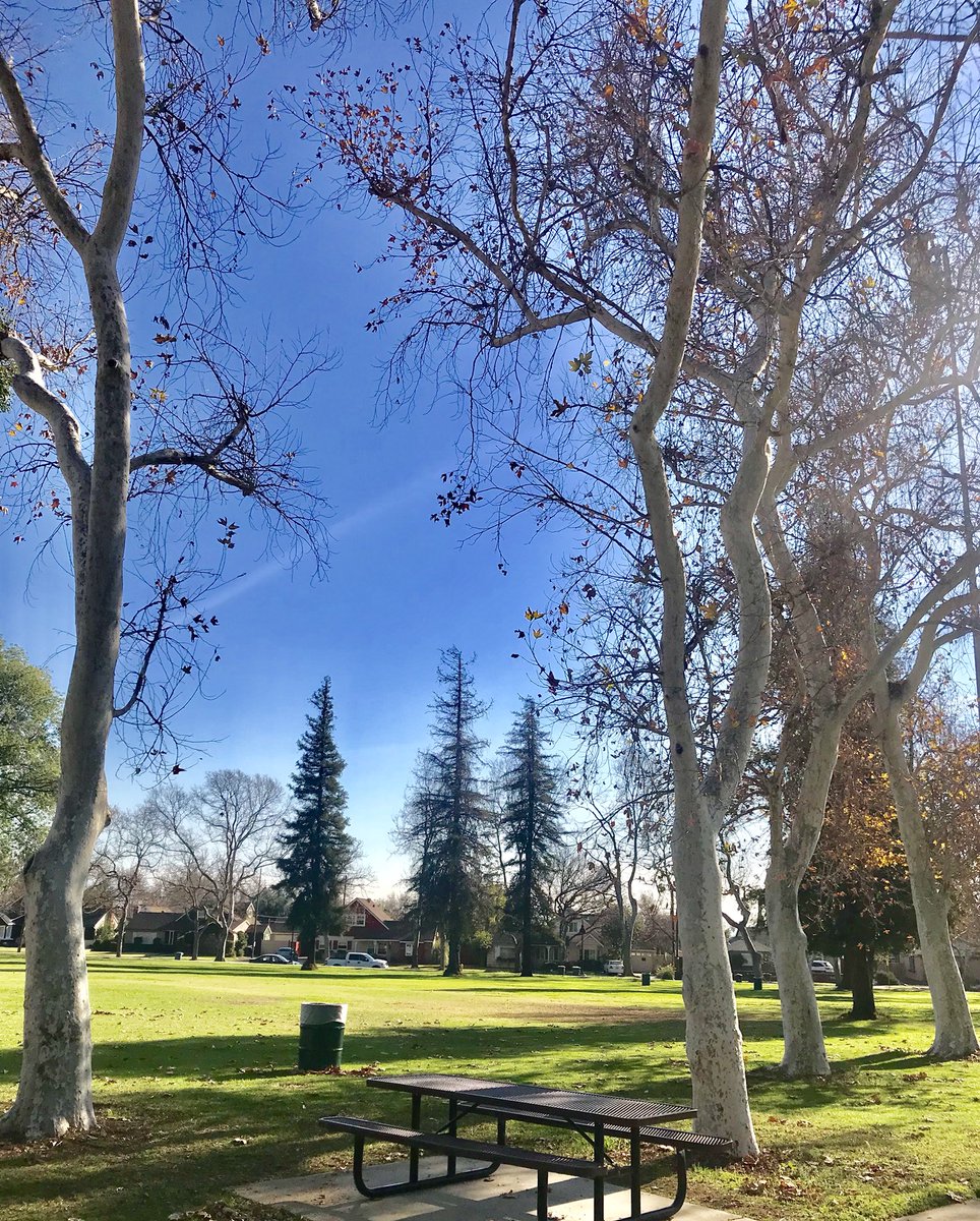 de_uthai's tweet photo. Sunny day in Claremont https://t.co/J399VQPxeN