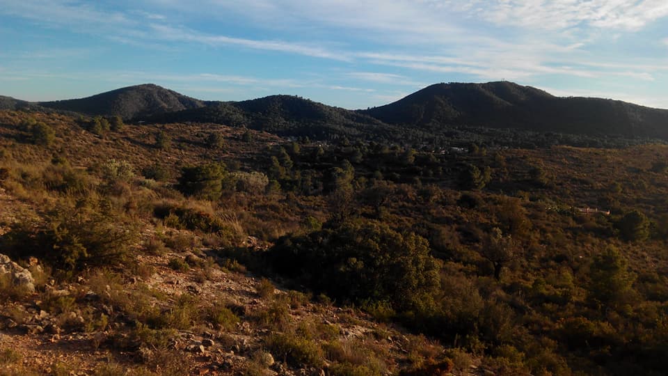 Trail3pics's tweet photo. Día intenso el hoy vivido en el epicentro del Trail running valenciano con el debut de los más pequeños de la casa.
Todo está listo para mañana, solo queda disfrutar de un buen espectáculo de deportividad y montaña en todos los sentidos, que descanséis!!! Salut i muntanya!!! https://t.co/JBhDbLIIUw