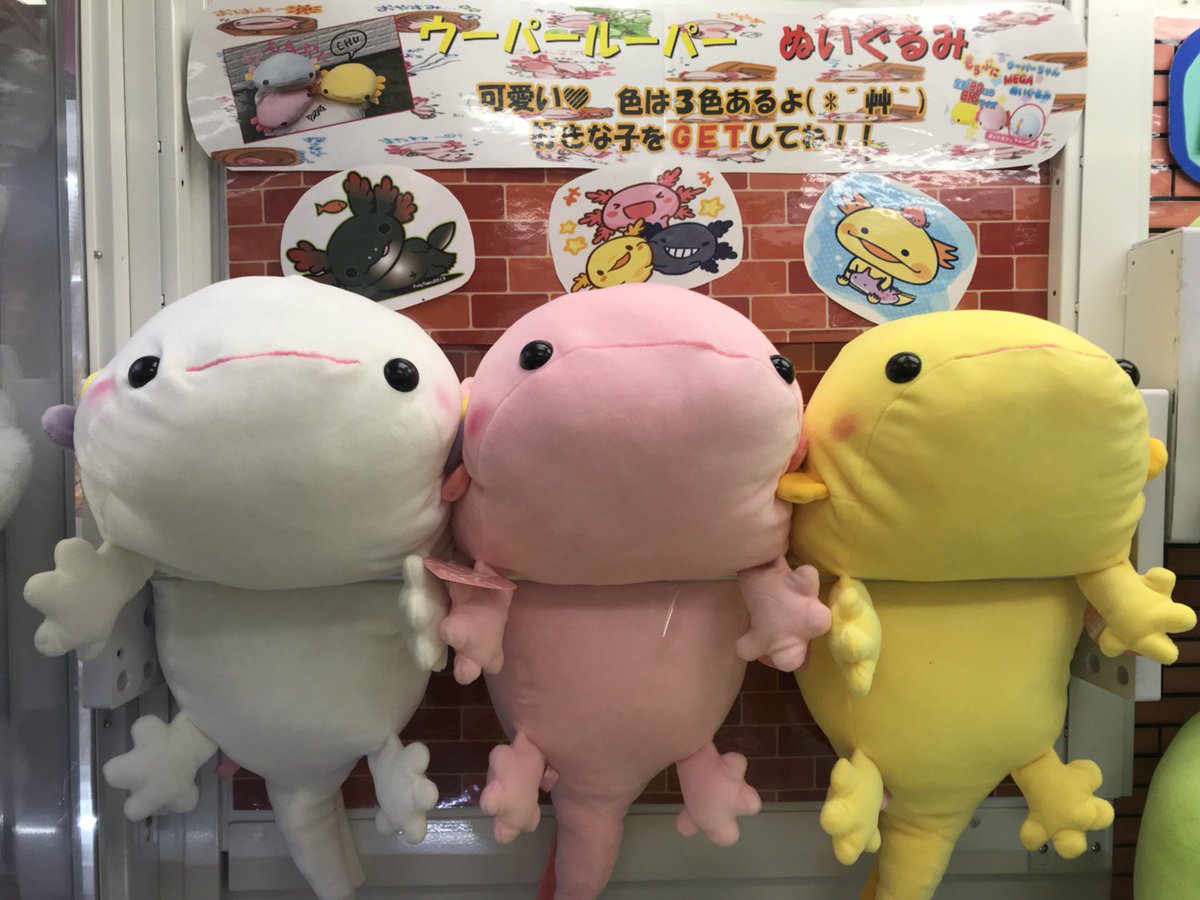 ウーパールーパー BIGぬいぐるみ カラーは3色！！お好きな色セットし