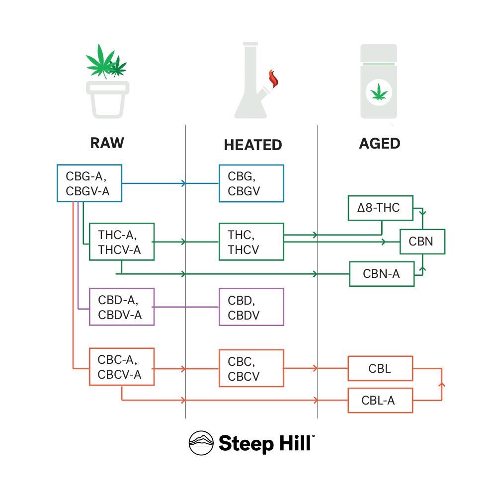 GrasspHealth's tweet photo. The basics of cannabinoid therapy. Questions? Ask them!
Read more here: https://t.co/B4RwyaoXyo
#mmj #marijuana #cannabis #science #chemistry #health #medicine #THC #CBD #steephilllab https://t.co/4jrffCIbHs
