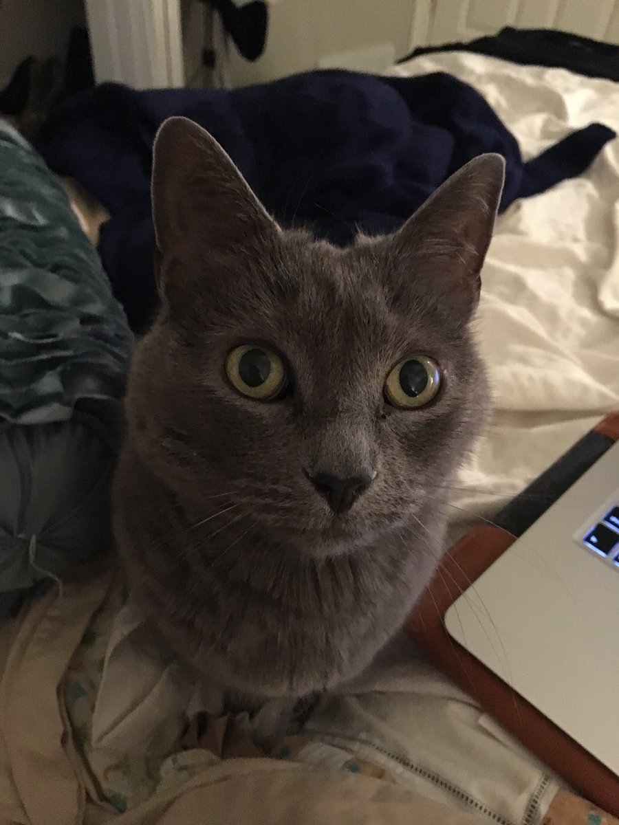 JessicaKim's tweet image. Aka Im tHe MosT ImpoRtaNt PeRsoN iN YoUr LiFE StoP StuDyiNg aNd LoVe Me