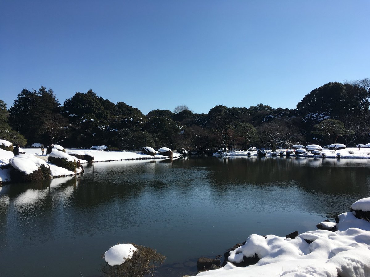 Pucci47's tweet photo. 雪降ったし昼休みに御苑行ってラーメン食った https://t.co/g1QUvCFn2M