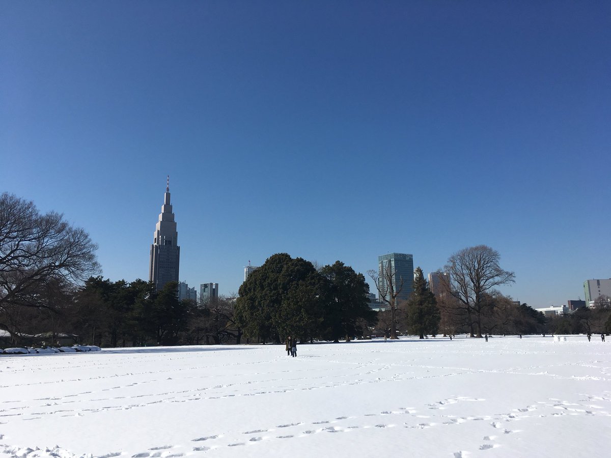 Pucci47's tweet photo. 雪降ったし昼休みに御苑行ってラーメン食った https://t.co/g1QUvCFn2M
