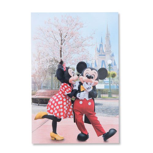 saketara's tweet photo. 実写シリーズ～！！
【TDRおすすめグッズ更新】ポストカードセット、メモなど2月15日発売
https://t.co/1CtaClJnSt
https://t.co/l6olUf9FuR
https://t.co/rjFfdz95Kg
https://t.co/RChvldhrd5 https://t.co/HVjCjdjfcC