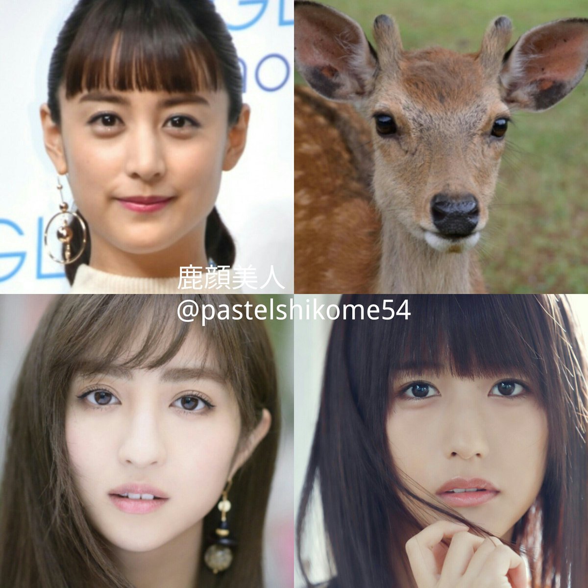 パステルしこめ 美人を特徴ごとに分類 レッサーパンダ 美人 たれ目 鼻先が丸い 輪郭が丸い 鹿顔美人 中顔面が少し長い 童顔美人 下顔面が少し短い 猿顔美人 横から見た口元がモンキーライン パステルしこめ 美人を特徴ごとに分類 レッサーパンダ 美人 たれ目 鼻先が丸い 輪郭が丸い 鹿顔美人 中顔面が少し長い 童顔美人 下顔面が少し短い 猿顔美人 横から見た口元がモンキーライン