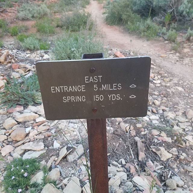 trailmanna's tweet photo. Sometimes knowing that water is up ahead is one of the biggest morale boosters you can  have... #outofwater #hiking #wilderness #backpacking #exploremore #theoutbound #officeanywhere #hikevibes #thetrailspeaks #trailmanna #trailfood https://t.co/Zkj4iazlgx https://t.co/PmJgGkaNWN