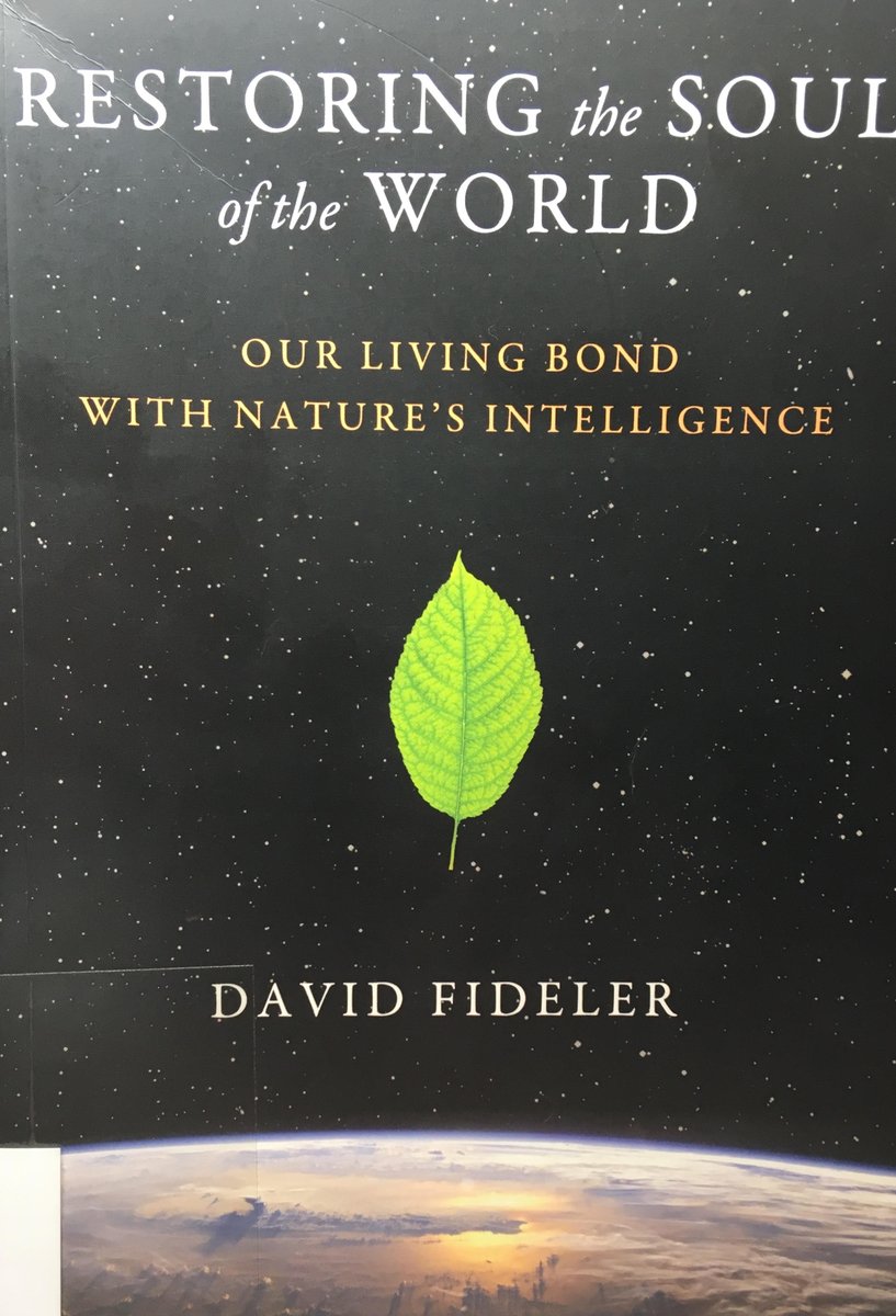 ImaginariumOrg's tweet photo. Perhaps in seeing these patterns that connect, we once again see the world as a creative, interconnected web of life, constantly growing, developing, and restoring itself. #DavidFideler #RestoringTheSoulOfTheWorld @InnerTraditions @TomCheetham1 @GaryLachman @TomAtlee https://t.co/MHGMJykgiH