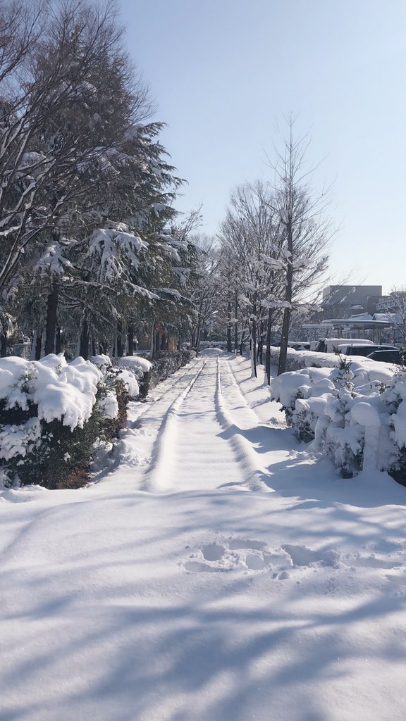 Taavi_Chiu tweet picture