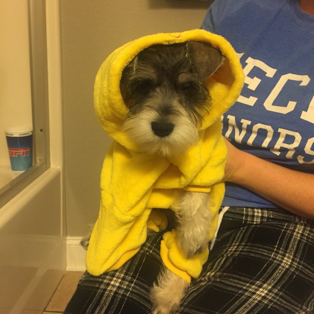 Ohyeahimfunny's tweet image. #NewProfilePic