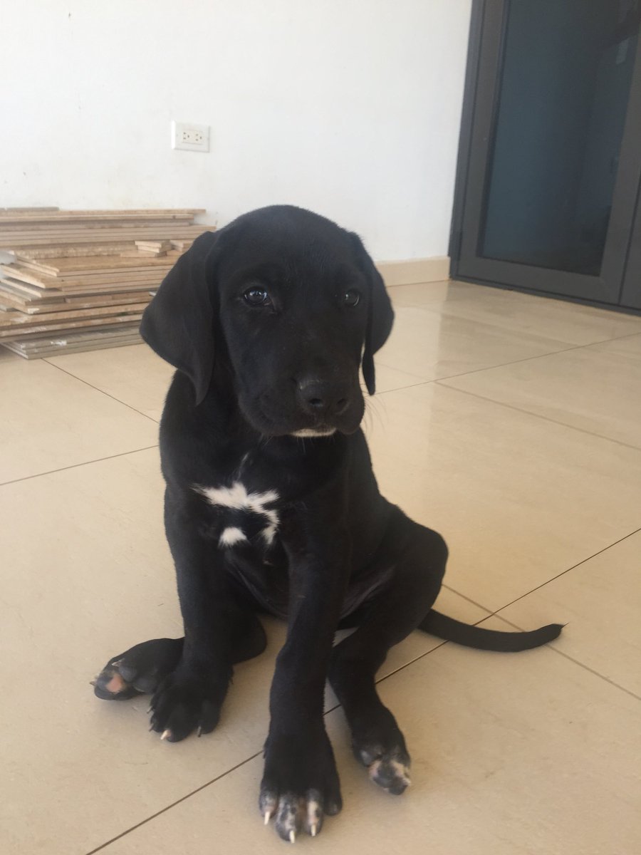 To cute to describe...9 weeks now