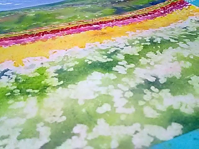 Marine Island Twitterren 外は雪景色でも 描いてるのは3月の花畑 午後は雪の絵描くぞ雪の絵 Watercolor 透明水彩 水彩画 水彩絵を流して水彩民を増やそう 花畑 T Co Muk4gkwph3 Twitter