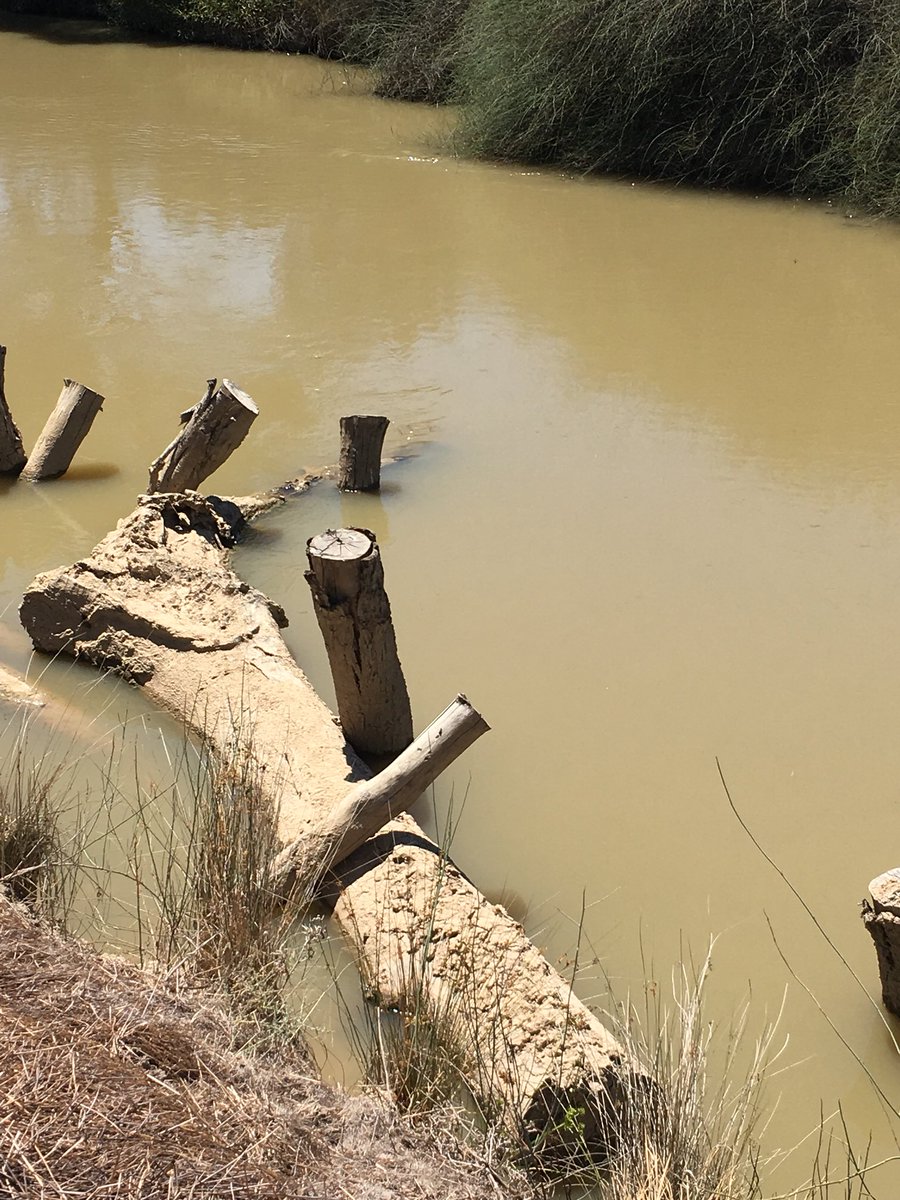 streamsidesuter's tweet photo. Fish hotel in Pyramid Creek, plus talking environmental water in wetlands #nccma #vewh #ontour #EnvironmentalWater https://t.co/9zhtiRvtLB
