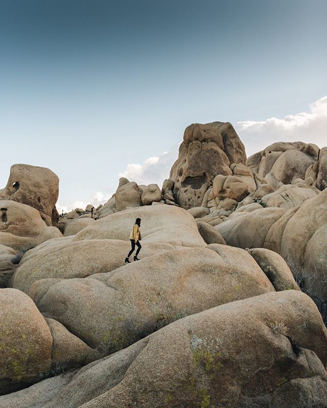 roaming__lost's tweet photo. Explored @joshuatreenps the other day w/ @kat_long, her first time! #RoamingLost
•
•
•
•
•
#joshuatree #joshuatreenationalpark #travelling #traveler #tourism #travelingram #igtravel #europe #traveller #travelblog #tourist #travelblogger #traveltheworld #roadtrip #instatr… https://t.co/jbgLi4RWBg
