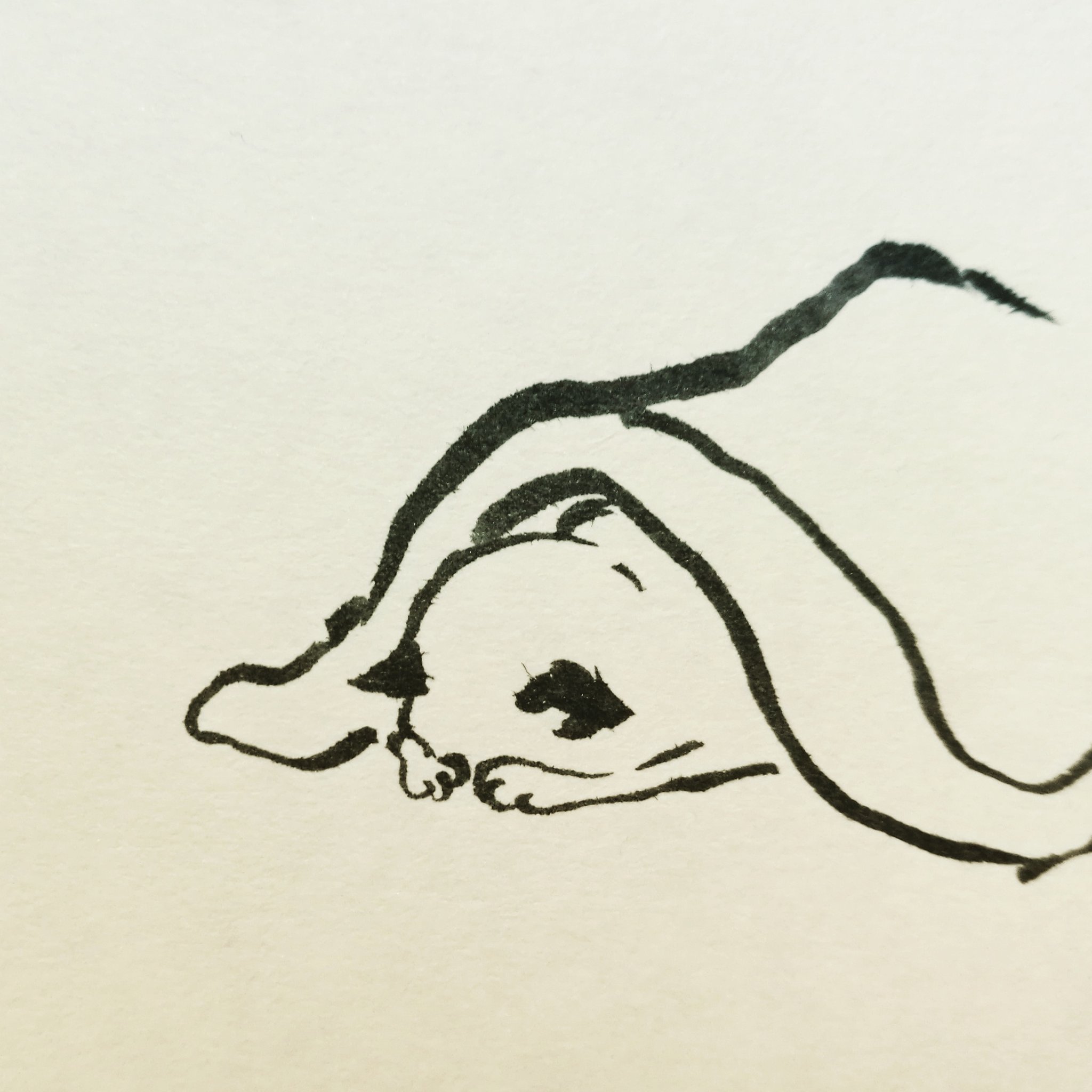猫土居 No Twitter すまない寝 猫 猫土居 猫イラスト すまない寝 ごめん寝 筆ペンイラスト 筆ペン漫画 くれ竹筆ペン Cat Catart 猫土居 No Twitter すまない寝 猫 猫土居 猫イラスト すまない寝 ごめん寝 筆ペンイラスト 筆ペン漫画 くれ竹筆ペン Cat Catart