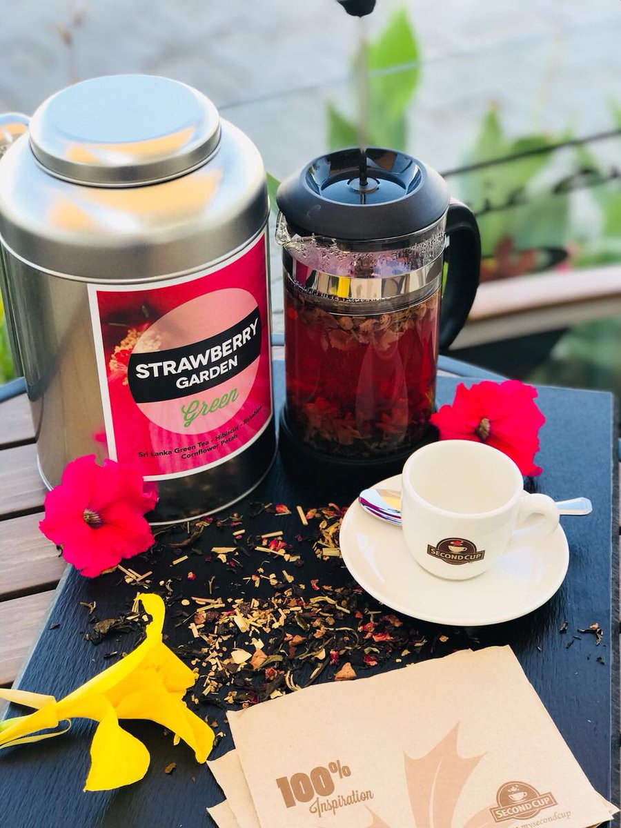 SecondCupOman's tweet photo. How about a cuppa? #mastercrafted #signatureteas #mysecondcup #alhail #alqurum https://t.co/tUT5PCRl2X