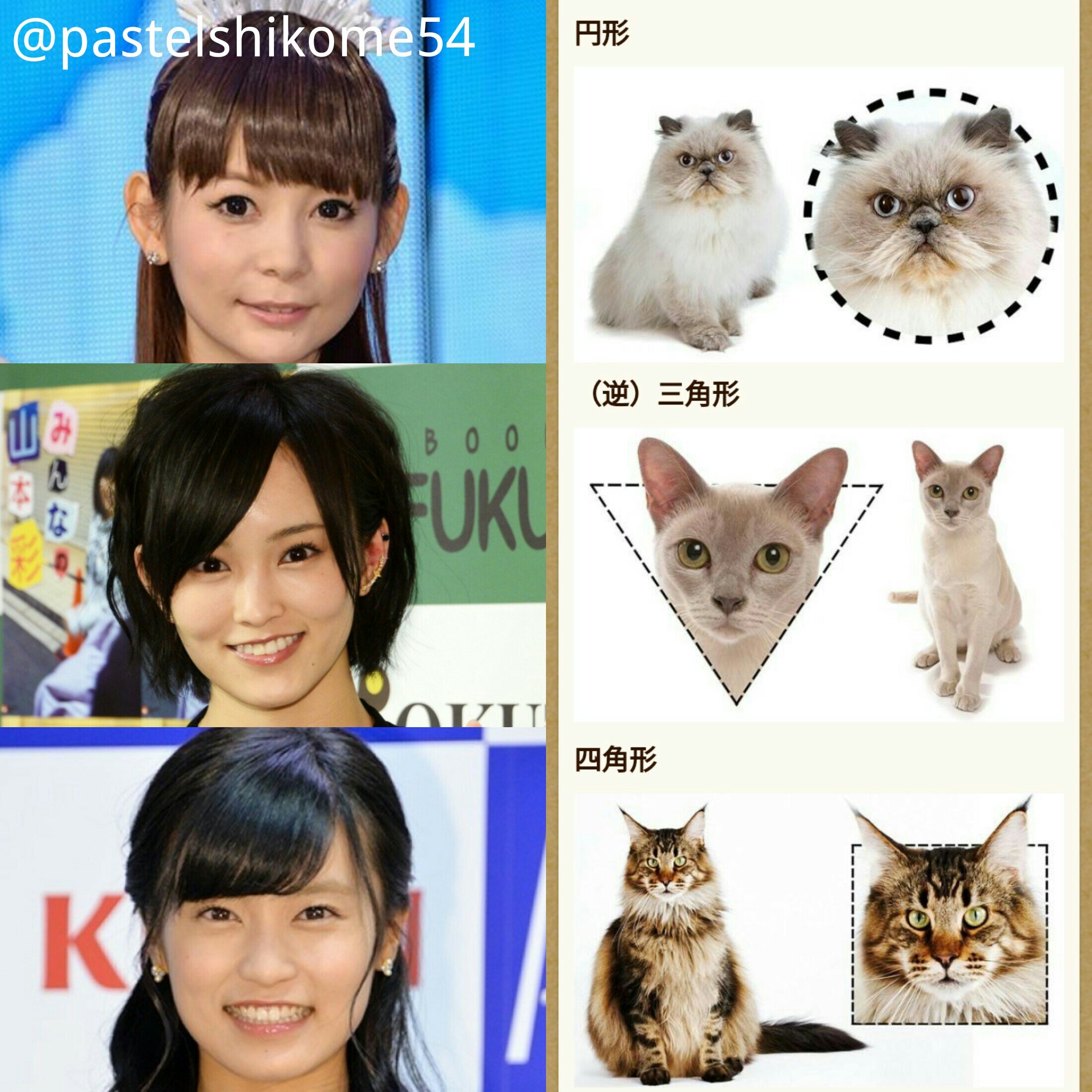 パステルしこめ 猫顔美人 つり目 輪郭は3種類に分かれる フェネックギツネ美人 小顔にパーツが収まる 輪郭は逆三角 ダックスフント美人 中顔面が少し長い 輪郭は面長 色気がある T Co Isqwwemfpo Twitter