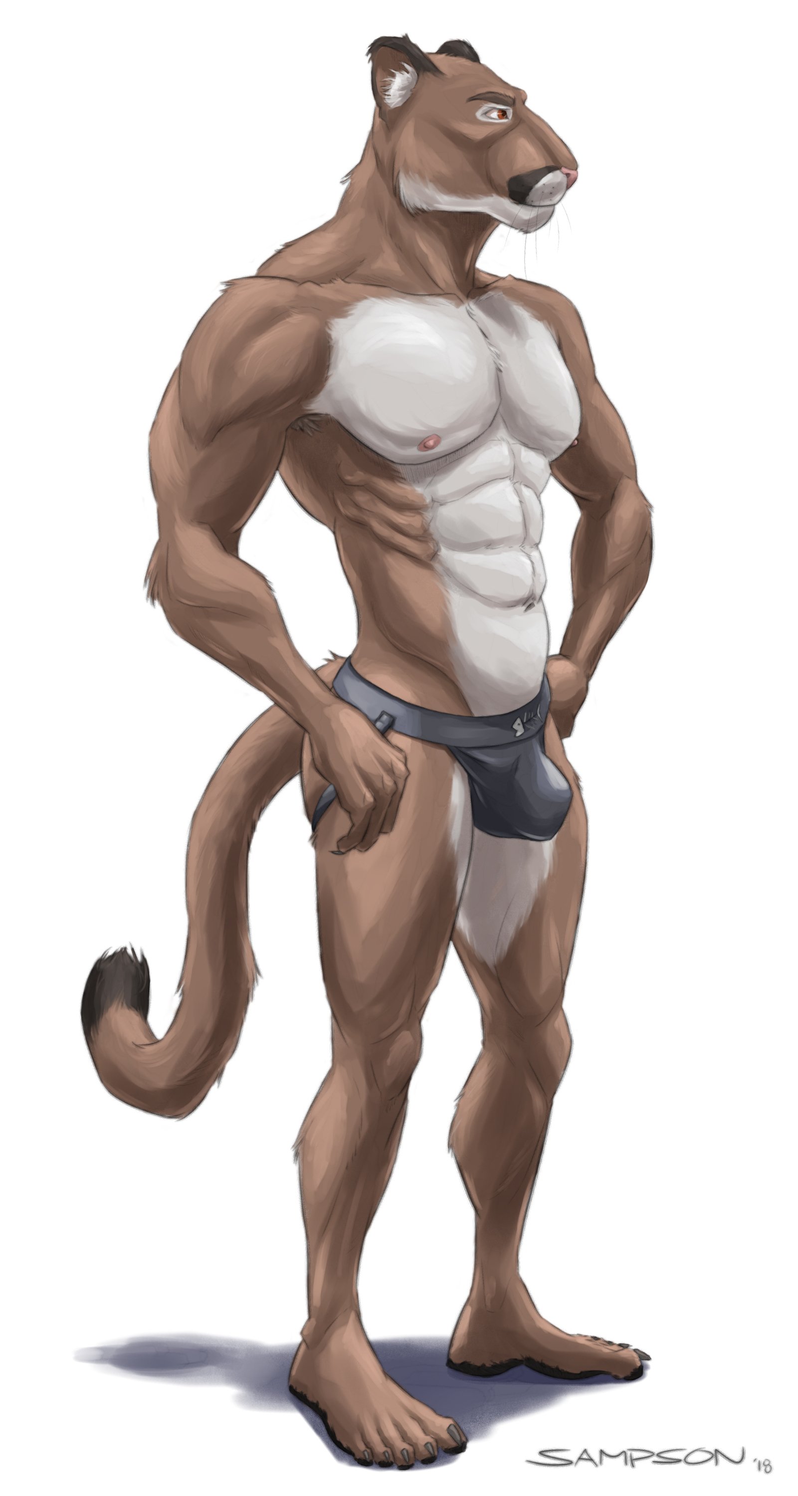 Puma jockstrap outlet