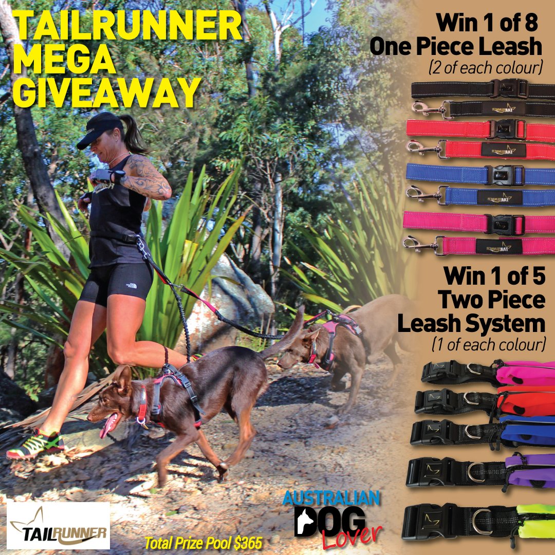 OzDogLover's tweet photo. January is #WalkYourPetMonth! 
** WIN 1 of 13 #handsfree #dogleash systems to run with one or two #dogs thanks to #Aussie business #TailRunner and get fit together! **
Enter before 26/01/18.
https://t.co/j8YbKA7esB https://t.co/3su7dxZPLo