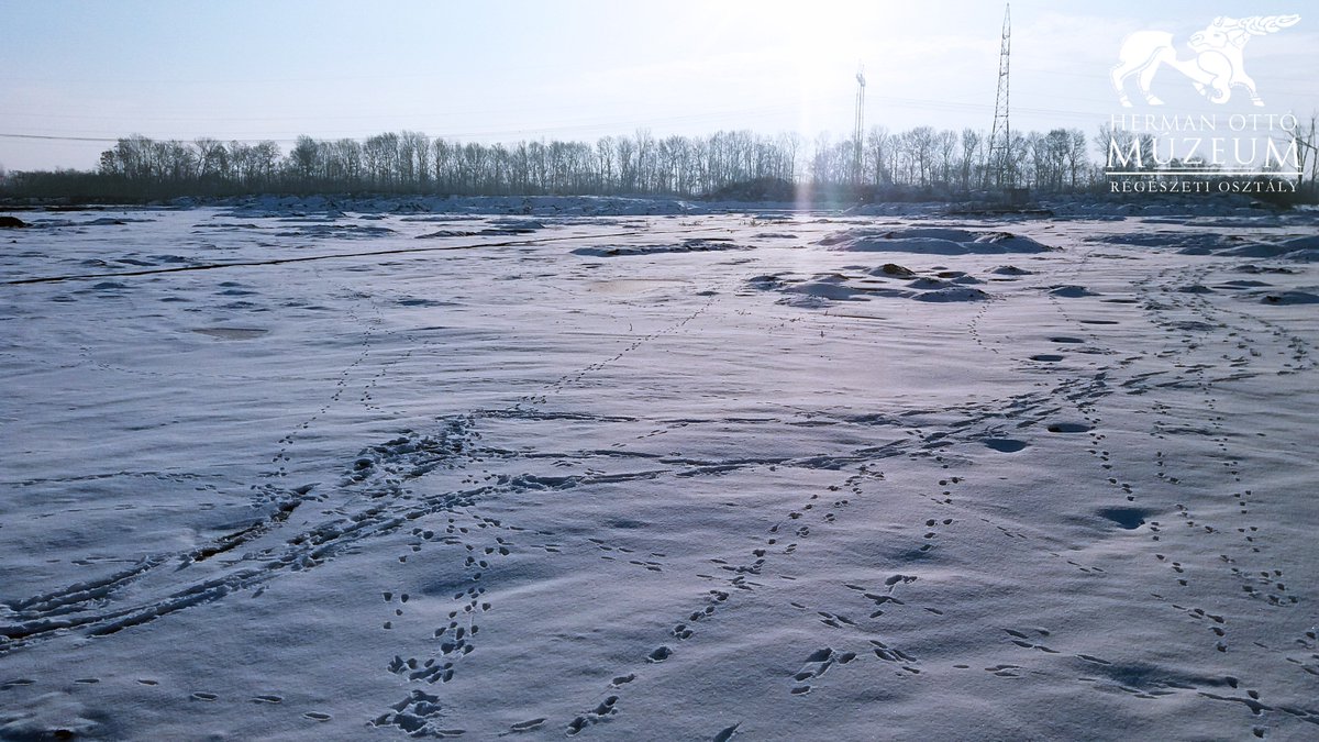 Today at Bükkábrány-Olaszegyháza site. Look at those #footprintsonthesnow!
#snow #winter #archaeology  #archaeology #fieldwork #instaarchaeology #archaeoinsta #hungarianarchaeology #instahun #hermanottomuseum #hermanottómúzeum #miskolc #borsod #magyarregeszet #archaeologicalsite