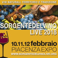 FattoriaSanVito's tweet photo. @FattoriaSanVito sarà a @sorgentevino dal 10 al 12 febbraio con i nostri #vininaturali Vi aspettiamo per assaggiarli #vino #wineissharing #wineblog #vini #sdvlive https://t.co/KJpyaGacVt