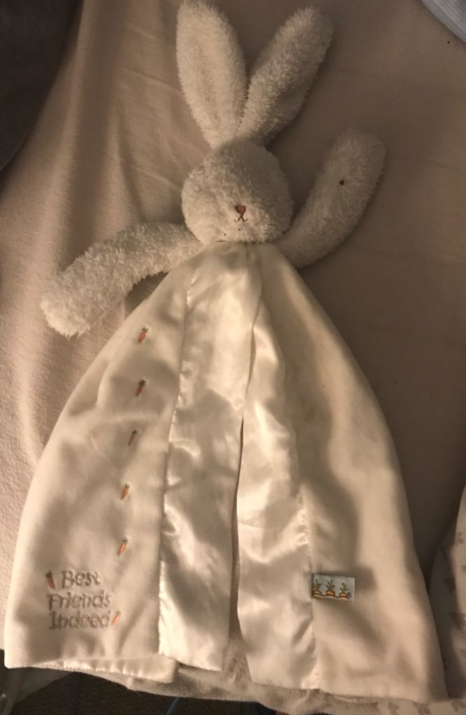 pureholmeschap's tweet photo. Not beauty related but please if you’re heading to @FreeportTalke can you look out for my baby boys bunny comforter! Thank you! Was lost yesterday, he’s missing it so much!. #talkepits #freeport #bunniesbythebay https://t.co/LfrVoZtRHf