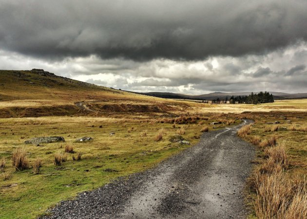 This #Devon weekend take part in the Big Garden Birdwatch with @RSPBSouthWest 🐦celebrate Burns Night <a href="/langdoncourtuk/">Langdon Court 🍐</a> 🏴󠁧󠁢󠁳󠁣󠁴󠁿 or visit the Titanic exhibition <a href="/TheDukePlymouth/">Duke of Cornwall</a> 🛳️ + much more! >>>>>>bit.ly/2wrMBJr