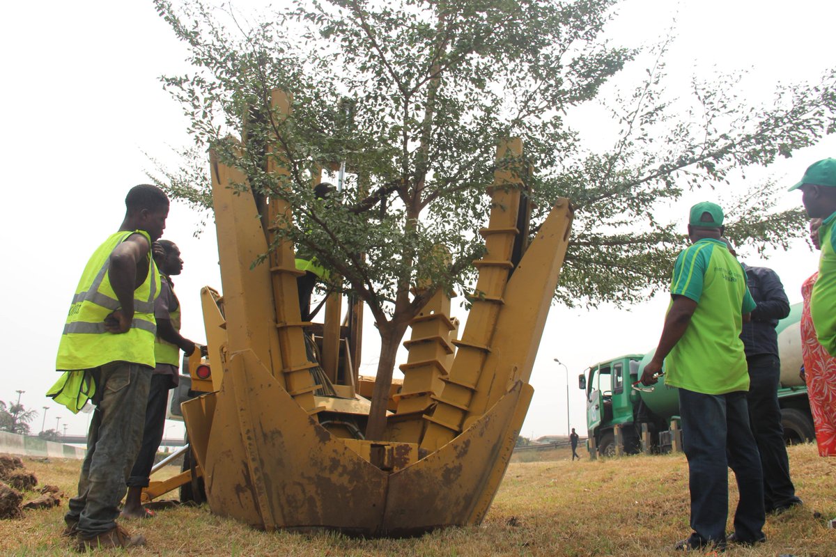 LASPARKLagos's tweet photo. Never heard of #BigJohn? Read this:
 
Last weekend we commenced work on moving trees from the PWD median stretch of the Agege Motor road to enable progress of the ongoing construction work by the @followlasg. 
With Big John Transplanter, we moved trees to Berger - Iyana Oworo https://t.co/BtbRhVs7Hk
