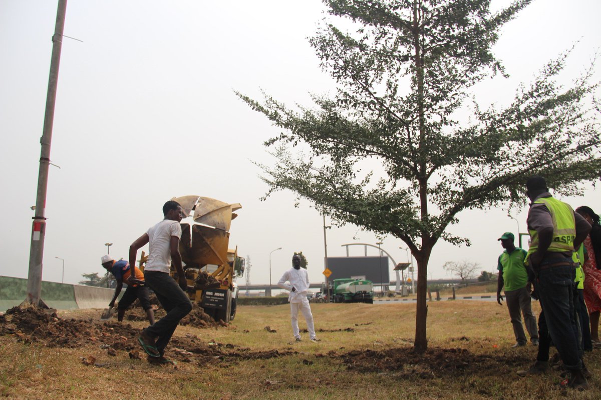 LASPARKLagos's tweet photo. Never heard of #BigJohn? Read this:
 
Last weekend we commenced work on moving trees from the PWD median stretch of the Agege Motor road to enable progress of the ongoing construction work by the @followlasg. 
With Big John Transplanter, we moved trees to Berger - Iyana Oworo https://t.co/BtbRhVs7Hk