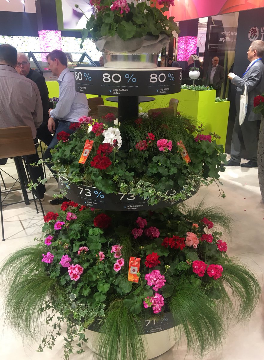 SyngentaFlowers's tweet photo. First day has started #IPMEssen #calliope #doitright @syngenta https://t.co/yskCS2vODb