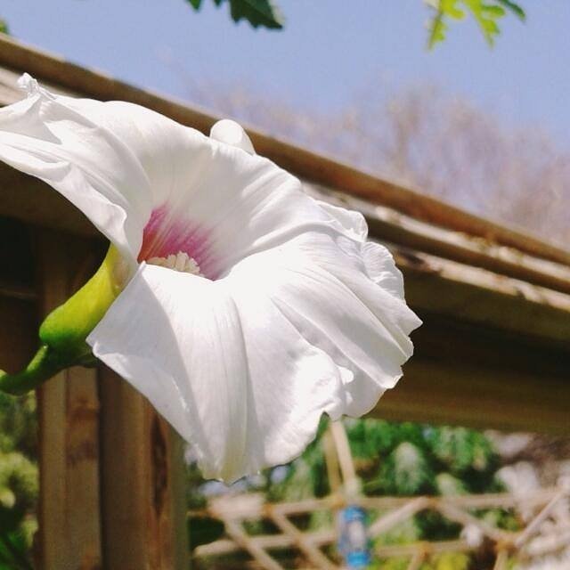 اللهم اجعل هذا الصباح خيرا لكل قلب أودع أمانيه عندك وينتظر الفرح منك وحدك صباح الخير
#صباح_الخير