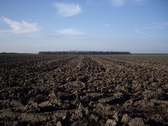 view эсперанто учебник