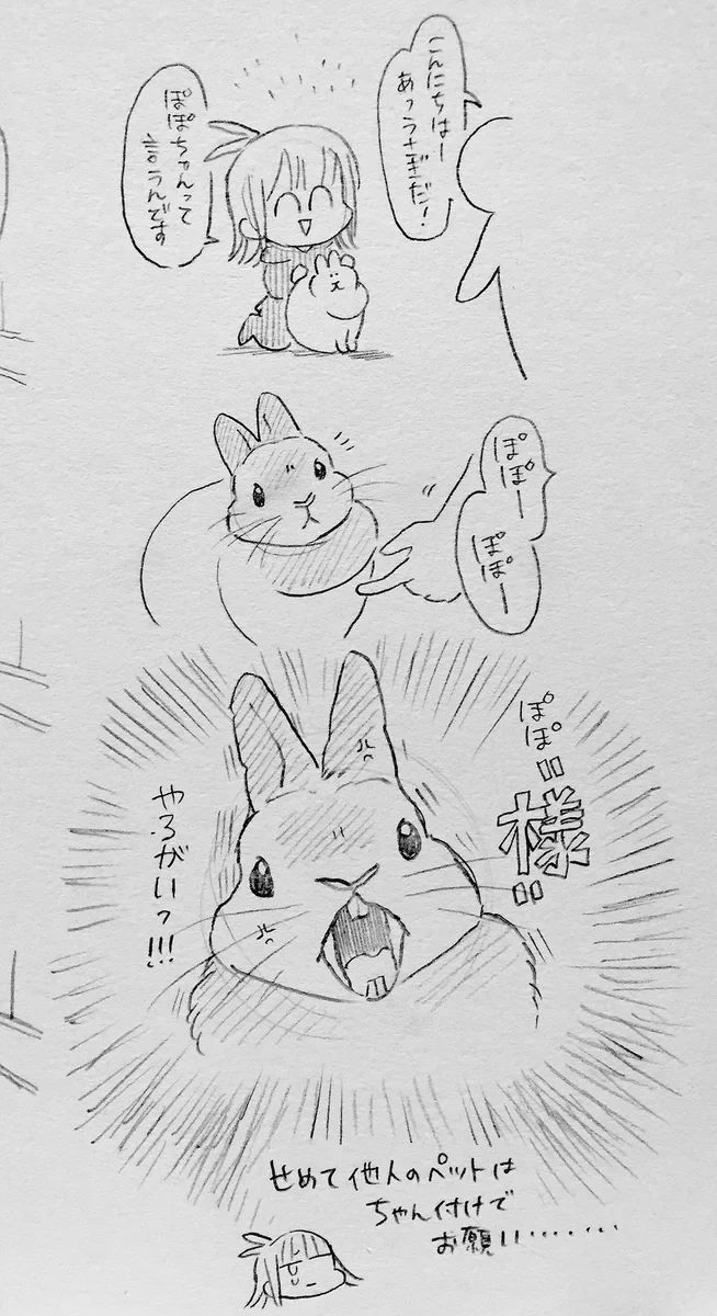 無礼な人？面倒くさい飼い主？他人のペットは敬称で呼ばないといけないらしいｗｗｗ