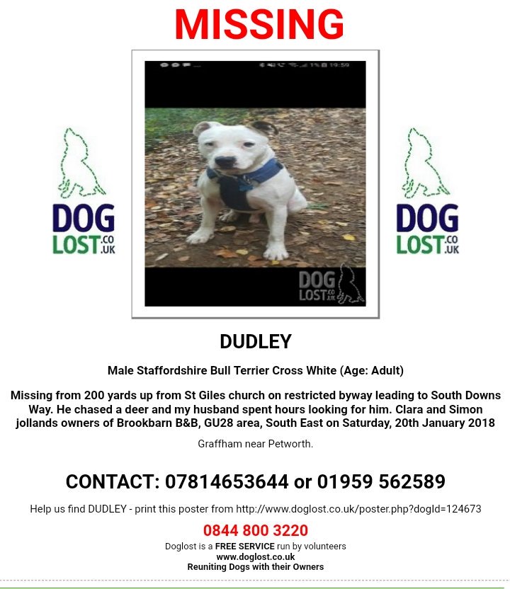 chikkitta1's tweet photo. https://t.co/DpJAYdIRRR Still looking for Dudley lost since saturday#has own fb @DoglostUK https://t.co/KAllq5PEcl