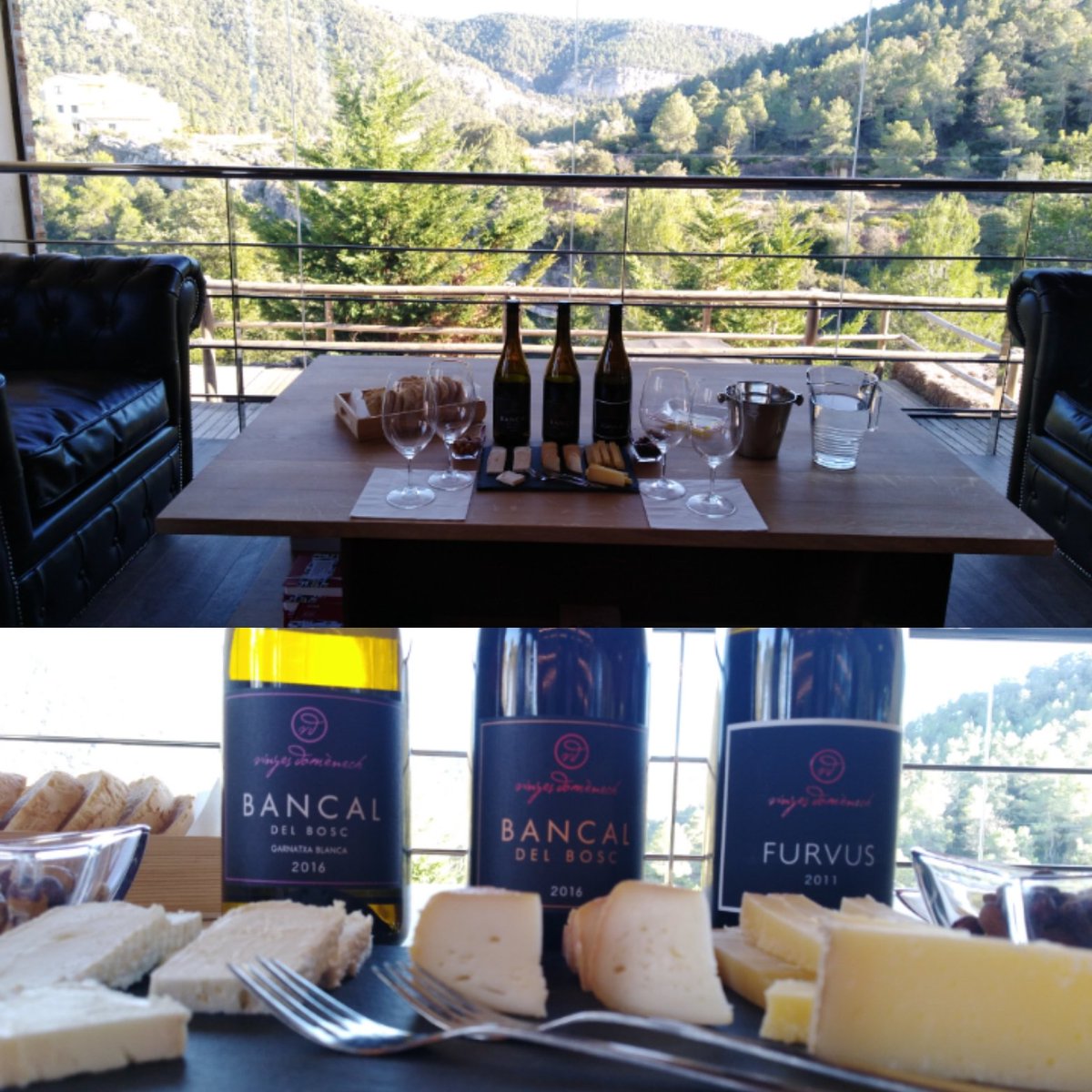 Wine, cheese and our unique #landscape - a #pairing for all of your senses 🍷😏🧀#umamiexperience #enoexperiences #winetourism #winecellar #naturalwinelover #umamibarcelona #nature #winelover #montsant #priorat #winetasting #winetourismspain #furvus #grenache