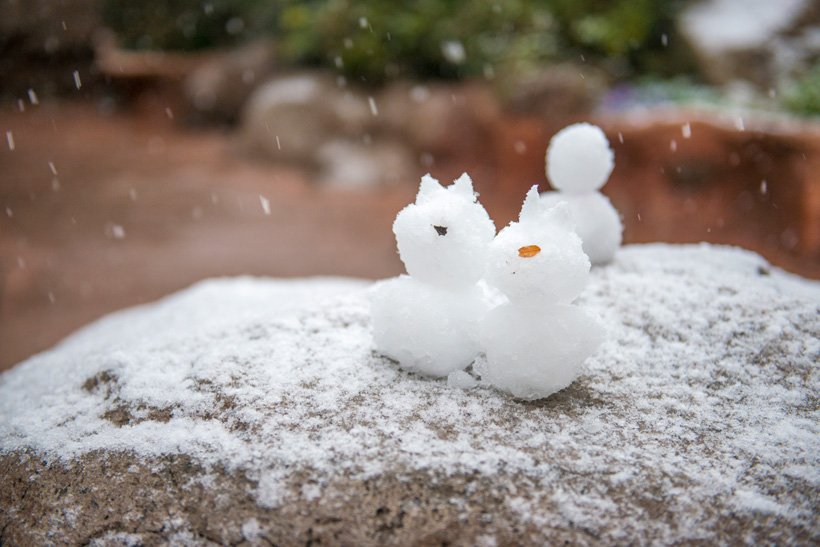 雪ディズニー