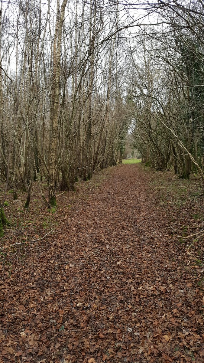 Some of the gorgeous woodland area at our new #Steeplechase site. Tickets for 10k / half &amp; marathon gp on sale Friday! #ukrunchat <a href="/UKRunChat/">UKRunChat</a> <a href="/BrnmthUpRunning/">Up & Running Bournemouth</a> <a href="/PndburyRunFree/">RunningFreePoundbury</a> <a href="/PooleRunFree/">Poole Running Free</a> <a href="/RunningDiary/">YeOldeRunningDiary</a> <a href="/rundeepmag/">rundeepmag</a> @Run_Mummy_Run
