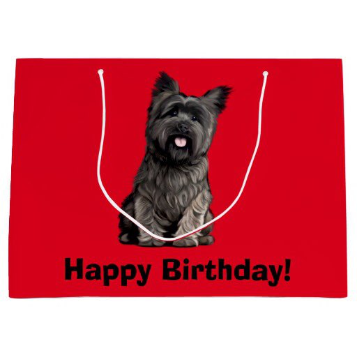 lilbobbyjackson's tweet photo. @LilCharlieBoy Happy Birthday Bruv. Have a woofly day from me n da humans 🐾x https://t.co/4L3ufLglBV