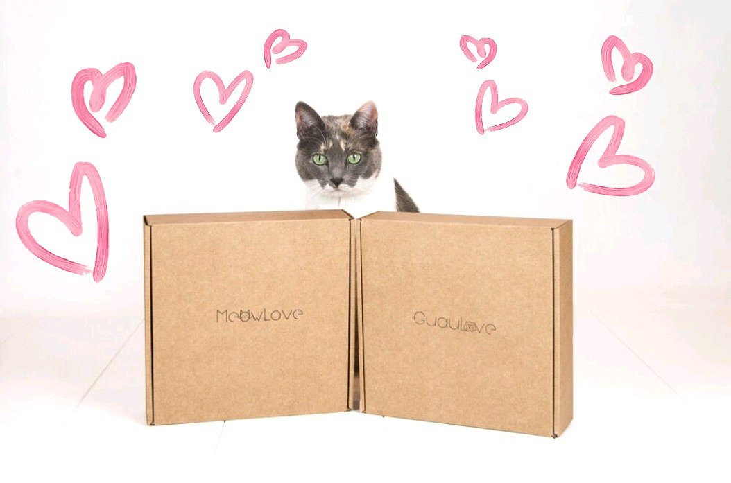 ¡Cómo el amor perruno y gatuno no hay ninguno! Así que pide ya tu caja para celebrar San Valentín con. Tu peludo
petlovebox.es