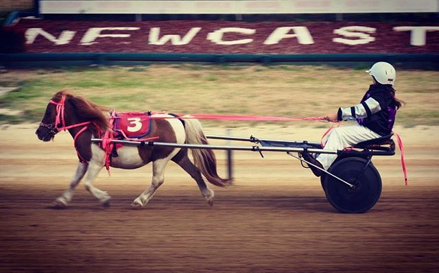 Nigel Paterson tweet media