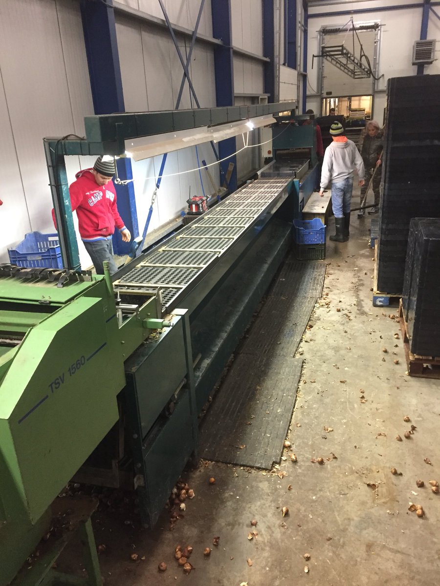 janslik's tweet photo. Vandaag planten we de #tulpen af broei proeven @iperen_nl bemesting strategieën in de teelt via rijenbemesting en blad bemesting en verschillende vuur schema’s uitgevoerd in de teelt 2017 @Powerline_mest #powerstart #akker #oogst2018 https://t.co/LmaeEbEfms