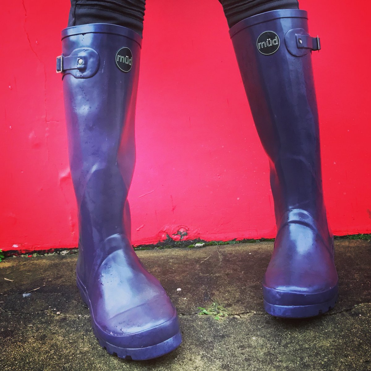 MudWellies's tweet photo. Acquitaine- #thepurpleone #makeasplash #norainnorainbow #inthemud #rainorshine #standout #mudwellies https://t.co/ewd73WrcHL